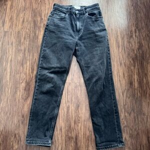 Everlane The Cheeky Jean Washed Black Ankle Crop